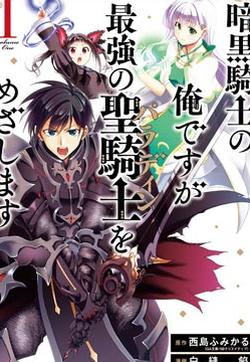 暗黑骑士的我目标成为最强圣骑士