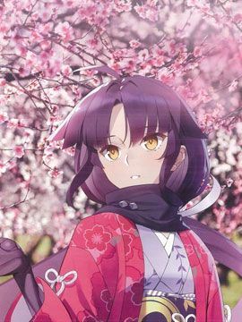 Fate Grand Order 5th Anniversary ALBUM