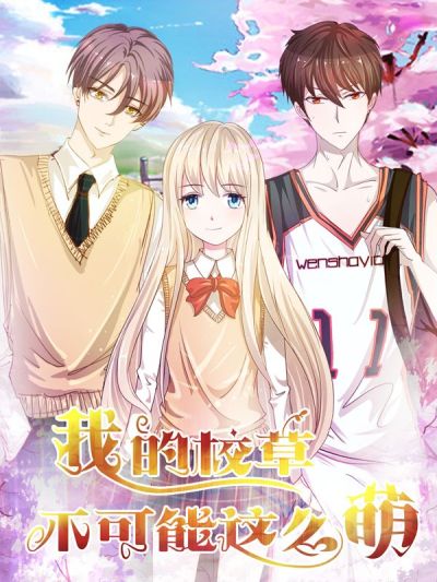 我的校草不可能这么萌