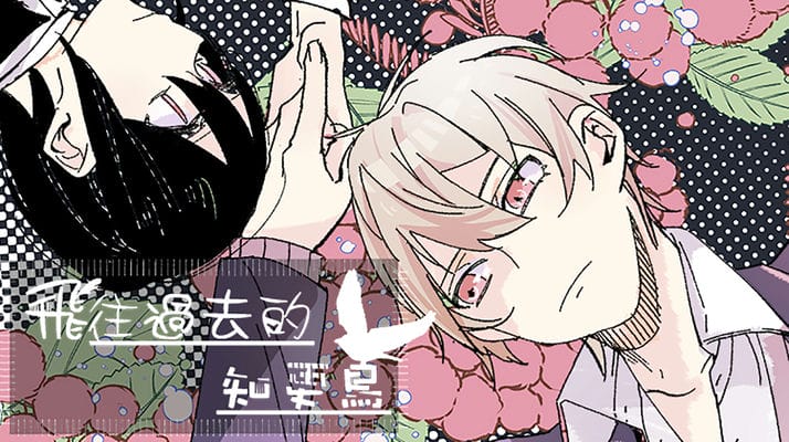 飞往过去的知更鸟