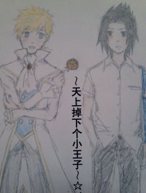 天上掉下个小王子