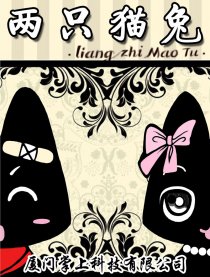 两只猫兔