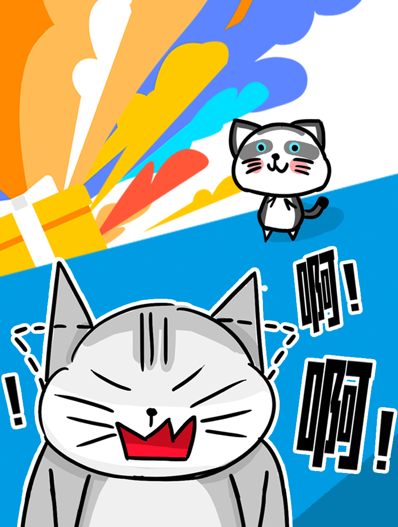 粗粗猫和细细猫的日常