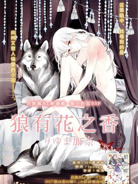 狼有花之香