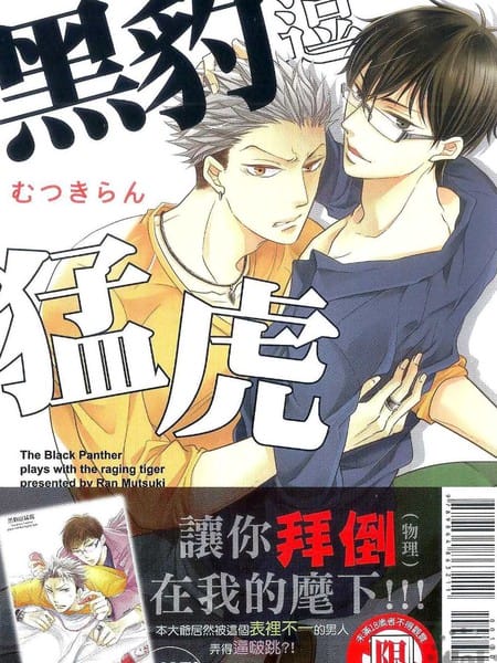 黑豹对猛虎戏弄中